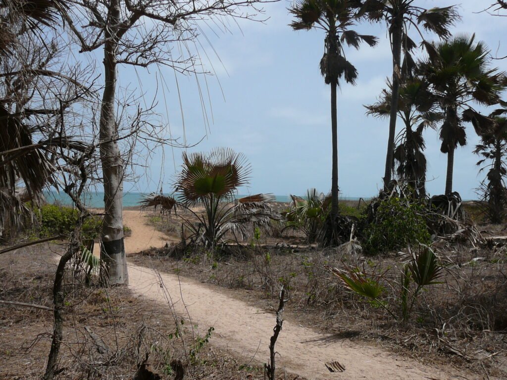 By Atamari, CC BY-SA 3.0, https://commons.wikimedia.org/w/index.php?curid=2584331